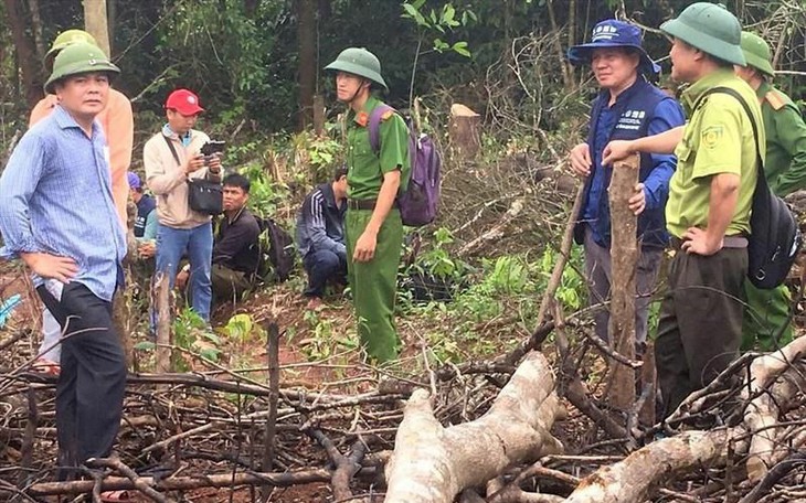 Hàng chục ha rừng tự nhiên bị xâm hại 
