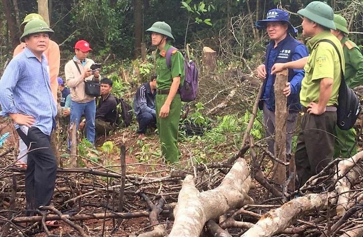 Hàng chục ha rừng tự nhiên bị xâm hại - Ảnh 1. Hàng chục ha rừng tự nhiên bị xâm hại - Ảnh 1.