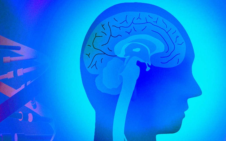 42 gene mới làm tăng nguy cơ mắc bệnh Alzheimer