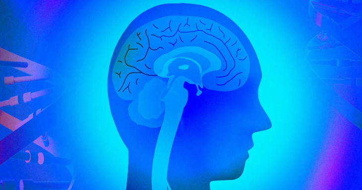 42 gene mới làm tăng nguy cơ mắc bệnh Alzheimer - Ảnh 2.