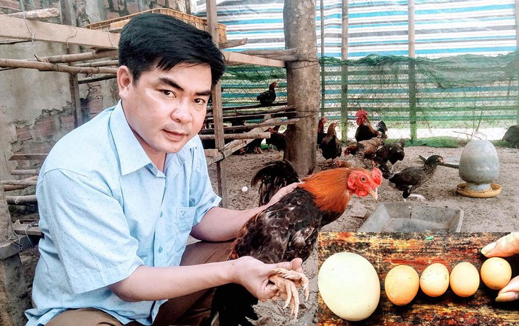 Kỳ lạ gà 9 cựa tiến vua đẻ ‘trứng vàng’, bán tiền triệu mỗi con - Ảnh 1. Kỳ lạ gà 9 cựa tiến vua đẻ ‘trứng vàng’, bán tiền triệu mỗi con - Ảnh 1.