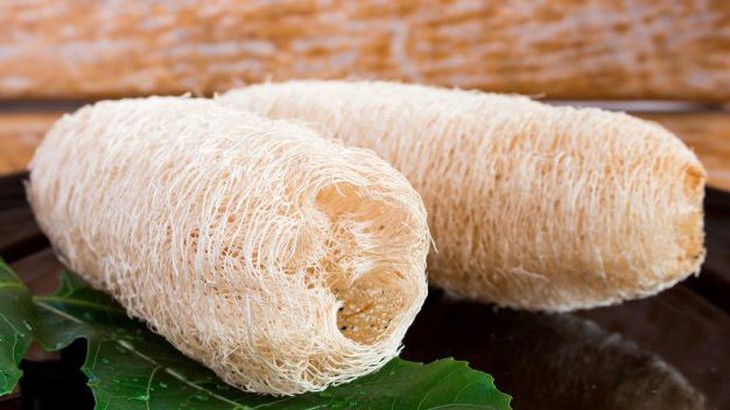 Mướp – vị thuốc lợi sữa, lưu thông huyết - Ảnh 5.