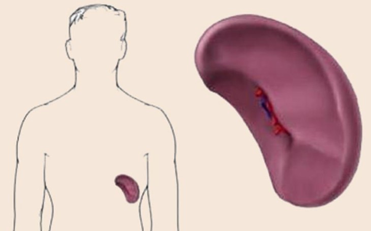 Bệnh cường lách: Phát hiện sớm phòng ngừa biến chứng nguy hiểm