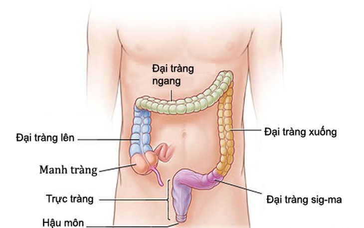 Ung thư ruột kết - căn bệnh mà vua bóng đá Pele mắc phải làm gì để giảm được nguy cơ? - Ảnh 2.