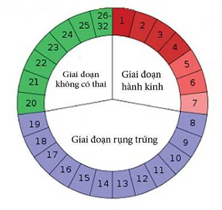 Có nên canh trứng để thụ thai? - Ảnh 2.
