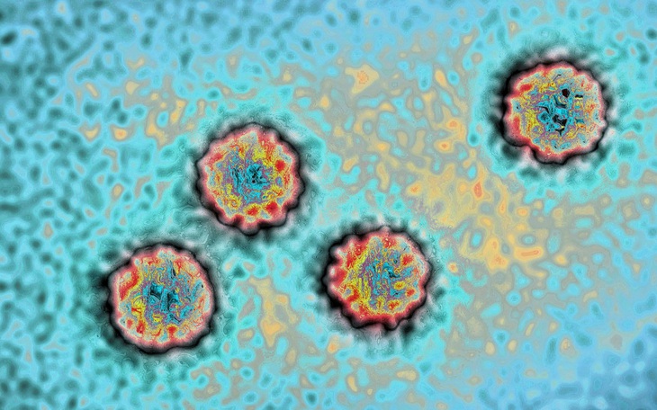 Thủ phạm gây ra căn bệnh viêm gan bí ẩn ở trẻ em có thể do adenovirus
