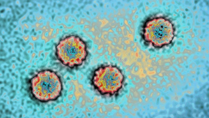 Thủ phạm gây ra căn bệnh viêm gan bí ẩn ở trẻ em có thể do adenovirus - Ảnh 2.