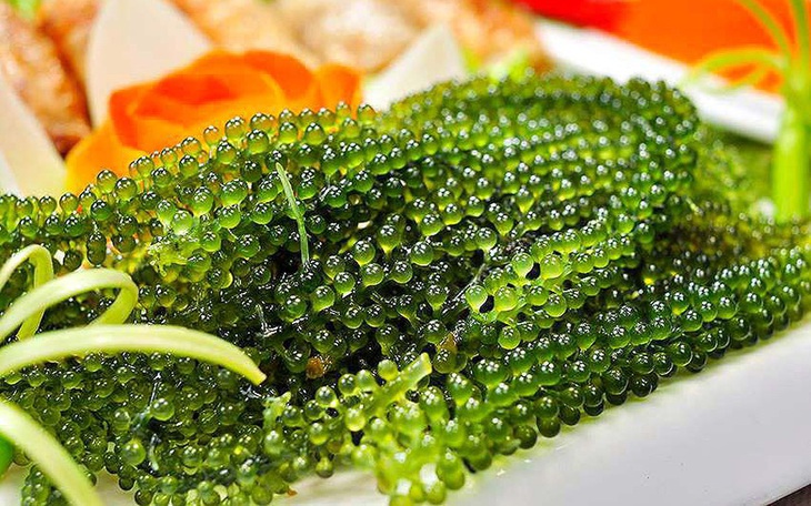 Tháng 4, đúng vụ rong nho tươi, vừa xanh, giá thành hạ nhiệt bất ngờ, chị em tích cực chốt đơn từ đầu tháng - Ảnh 1.