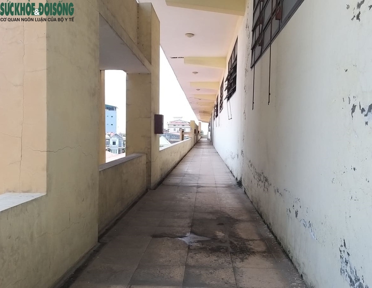Lãng phí hàng ngàn m2 ở khu chợ lớn nhất Nghệ An - Ảnh 3.