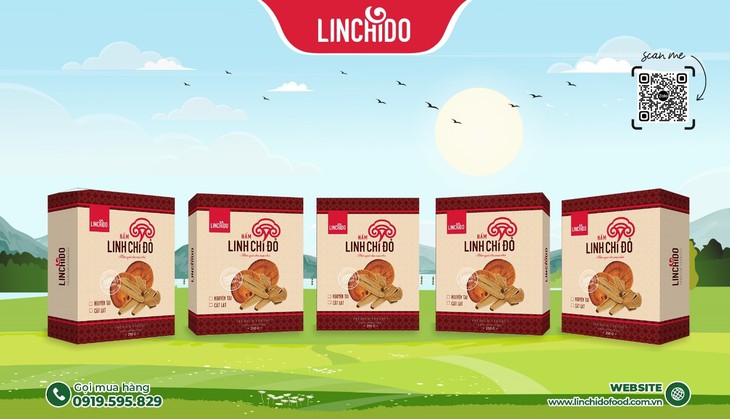 Giải khát ngày hè, bồi bổ cơ thể cùng trà nấm linh chi - Ảnh 3. Giải khát ngày hè, bồi bổ cơ thể cùng trà nấm linh chi - Ảnh 3.
