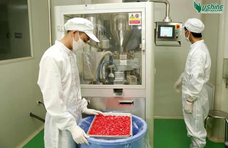Những thảo dược quý giúp hỗ trợ bổ phổi, giảm đau rát họng và ho kéo dài - Ảnh 2. Những thảo dược quý giúp hỗ trợ bổ phổi, giảm đau rát họng và ho kéo dài - Ảnh 2.