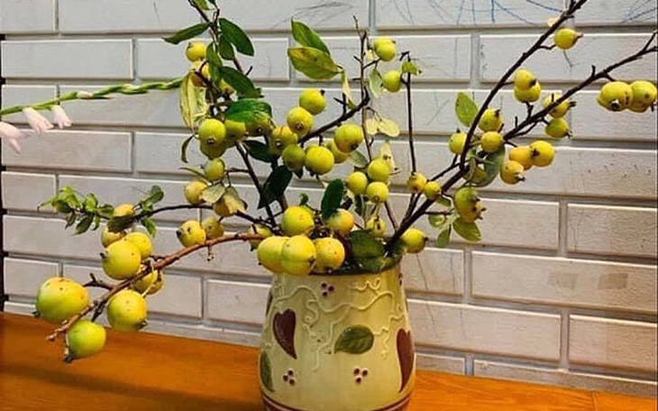 Thú cắm cành quả độc đáo, vừa để trang trí nhà vừa chờ quả chín  - Ảnh 1.