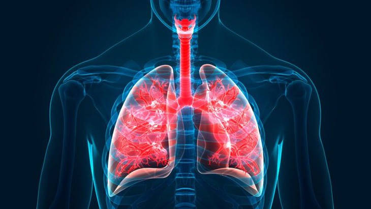 Phần mới của cơ thể được tìm thấy ẩn trong phổi - Ảnh 2.