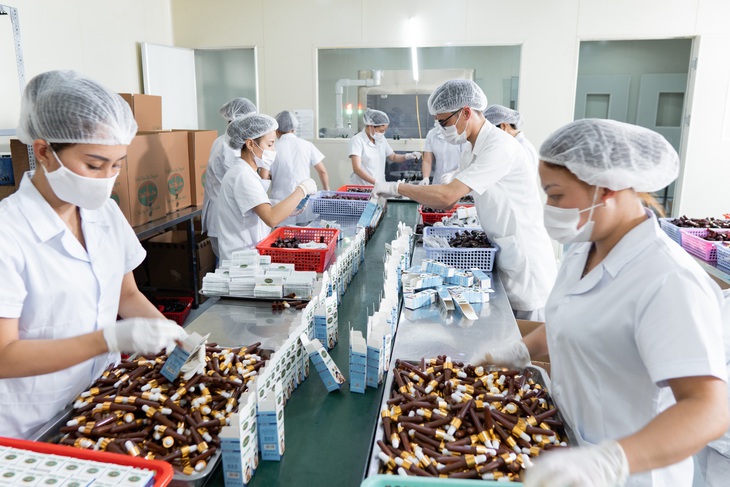 Quy trình khép kín, an toàn trong sản xuất tinh dầu như thế nào? - Ảnh 1. Quy trình khép kín, an toàn trong sản xuất tinh dầu như thế nào? - Ảnh 1.