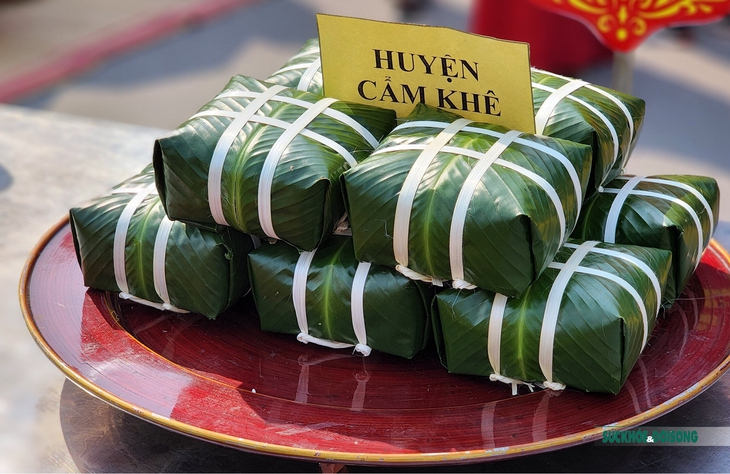 Giỗ Tổ Hùng Vương: Sôi nổi hội thi Hội thi gói, nấu bánh chưng và giã bánh giầy - Ảnh 5.