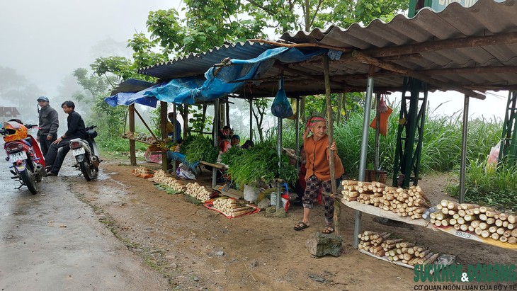 Du khách về Mường Lống “tiểu Sa Pa” của xứ Nghệ trải nghiệm - Ảnh 6.