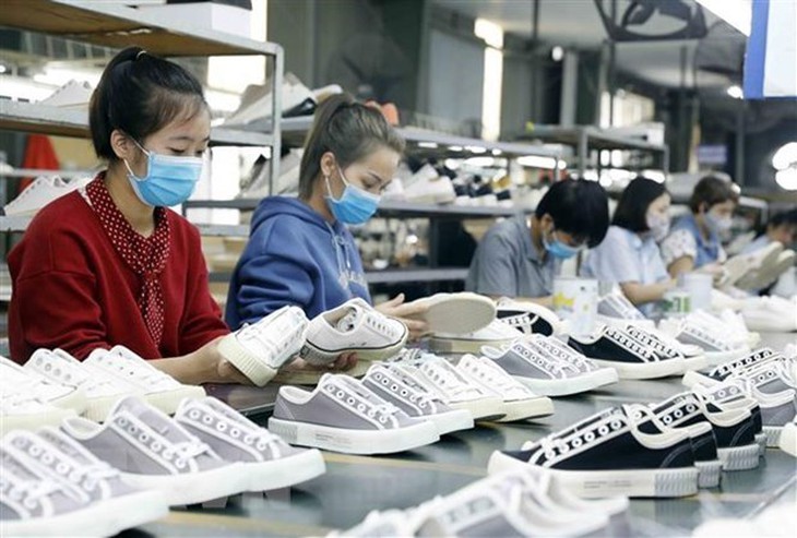 Bức tranh toàn cảnh về nhân lực ở Việt Nam: Nhiều điểm tích cực - Ảnh 1. Bức tranh toàn cảnh về nhân lực ở Việt Nam: Nhiều điểm tích cực - Ảnh 1.