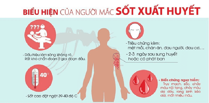 Phân biệt sốt xuất huyết và các dạng sốt khác - Ảnh 4. Phân biệt sốt xuất huyết và các dạng sốt khác - Ảnh 4.