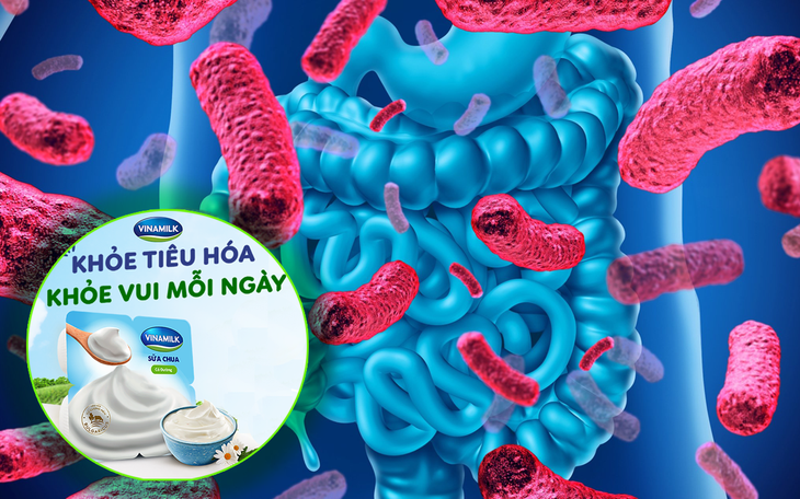 Chuyên gia dinh dưỡng chỉ cách cân bằng hệ vi sinh đường ruột phòng ngừa các rối loạn tiêu hóa