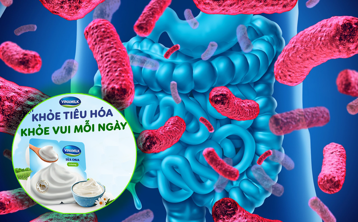 Vì sao nói tiêu hóa khỏe giúp phòng tránh bệnh tật từ xa? - Ảnh 1.