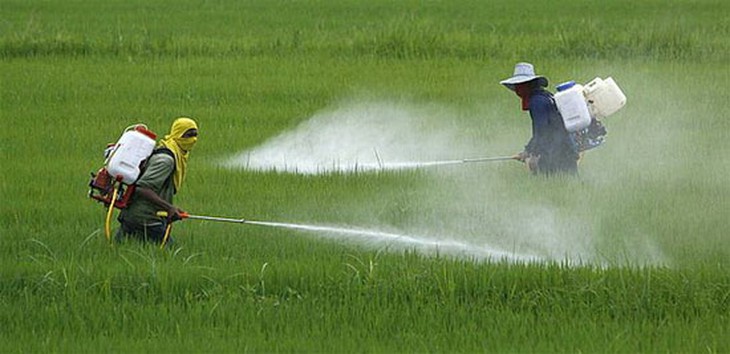 Chuyên gia chỉ cách đơn giản giúp bạn nhận biết sớm dấu hiệu ung thư đại trực tràng - Ảnh 3. Chuyên gia chỉ cách đơn giản giúp bạn nhận biết sớm dấu hiệu ung thư đại trực tràng - Ảnh 3.