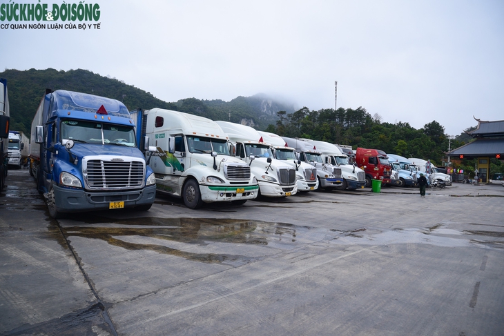 Liên tiếp phát hiện lái xe và phụ xe tử vong tại cửa khẩu Tân Thanh - Ảnh 2.