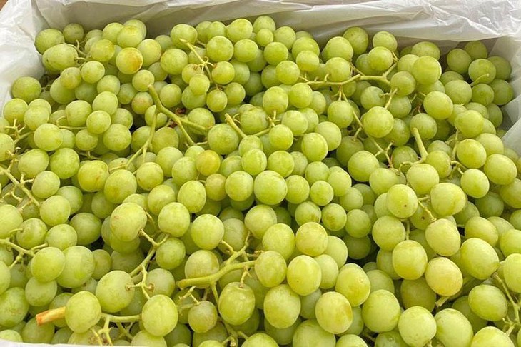 Nghịch lý đặc sản Việt: Hàng ngoại đổ bộ, đồ nội tràn chợ giá rẻ bèo - Ảnh 1. Nghịch lý đặc sản Việt: Hàng ngoại đổ bộ, đồ nội tràn chợ giá rẻ bèo - Ảnh 1.