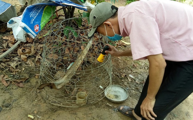 Sốt xuất huyết tăng ở Bình Định, hướng dẫn học sinh diệt muỗi…