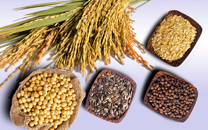 Ăn nhiều chất xơ ngũ cốc có thể giúp giảm nguy cơ mắc bệnh tim mạch và đái tháo đường - Ảnh 4.