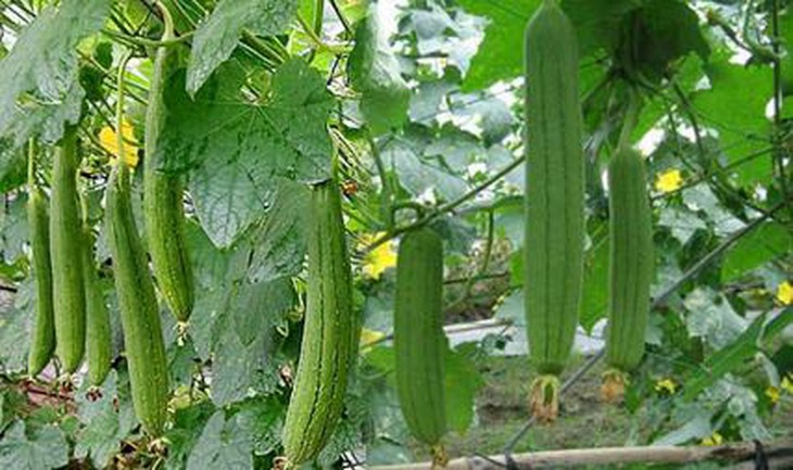 photo-1652670330136