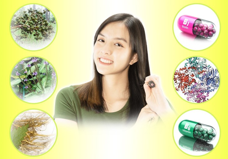 Trợ thủ hỗ trợ khắc phục cả chứng rụng tóc và bạc tóc - Ảnh 1.