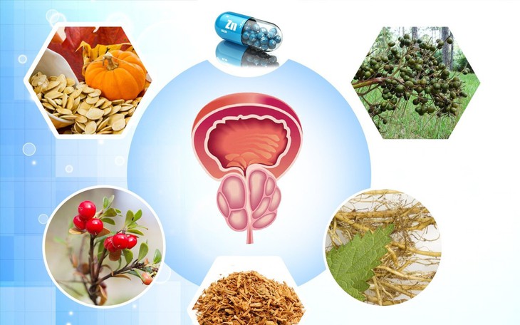 Giải pháp hỗ trợ giảm phì đại tuyến tiền liệt với thảo dược tự nhiên