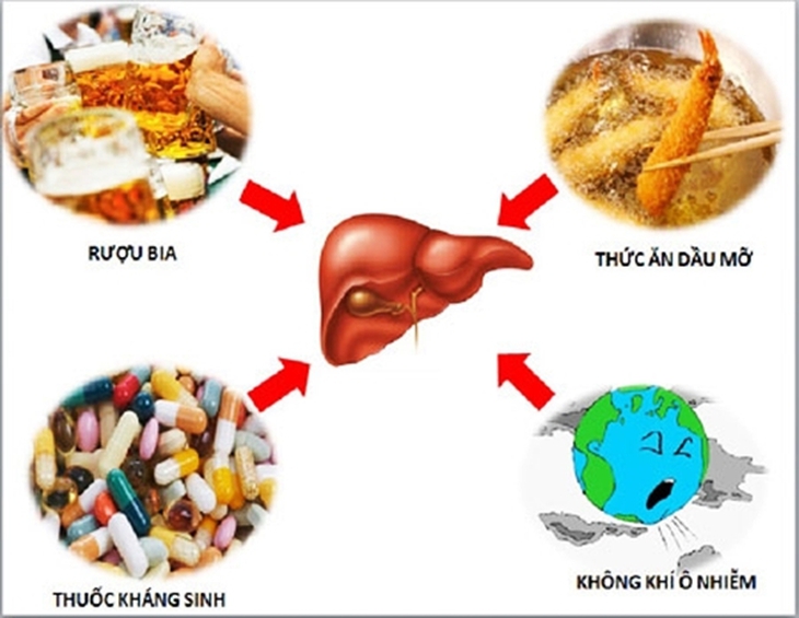 Thức khuya hại gan và những sát thủ khiến gan tổn thương cần biết - Ảnh 4.