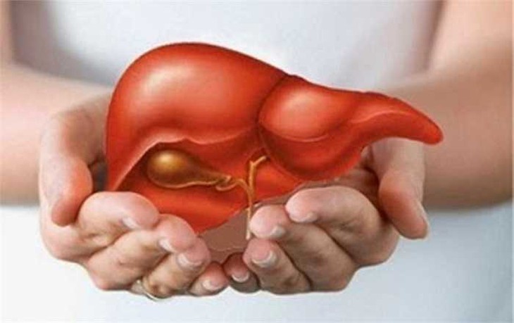 Thức khuya hại gan và những sát thủ khiến gan tổn thương cần biết - Ảnh 5.