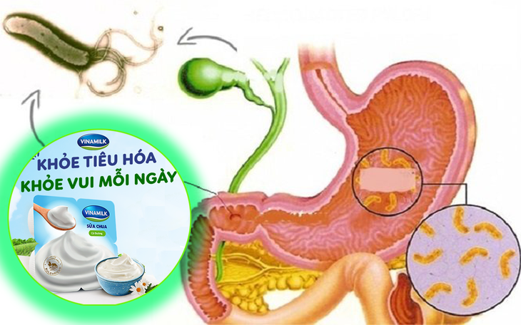Cải thiện sức khỏe đường ruột để có một hệ thống miễn dịch tốt hơn