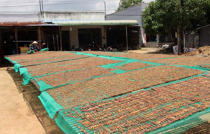 Ngôi làng đàn ông chuyên săn ‘vũ nữ chân dài’, thức trắng đêm thu tiền triệu - Ảnh 2. Ngôi làng đàn ông chuyên săn ‘vũ nữ chân dài’, thức trắng đêm thu tiền triệu - Ảnh 2.