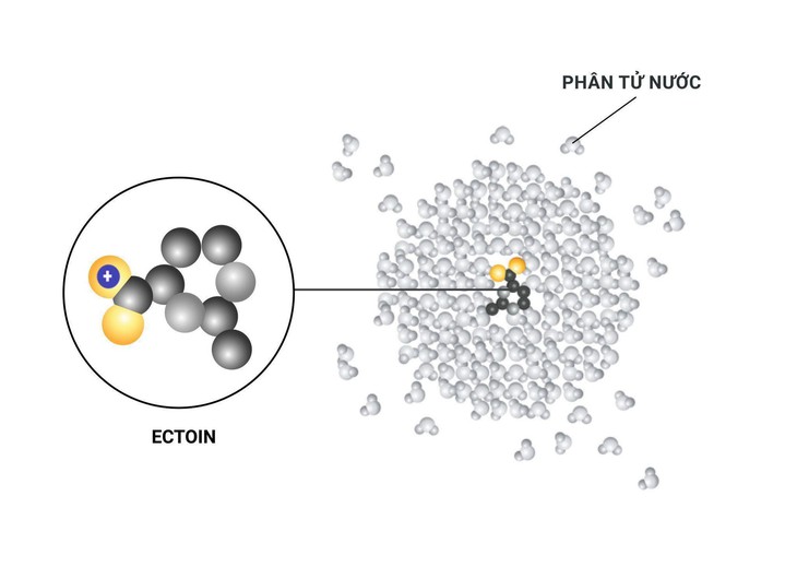 Bước tiến mới trong phòng ngừa viêm mũi dị ứng - Ảnh 2.