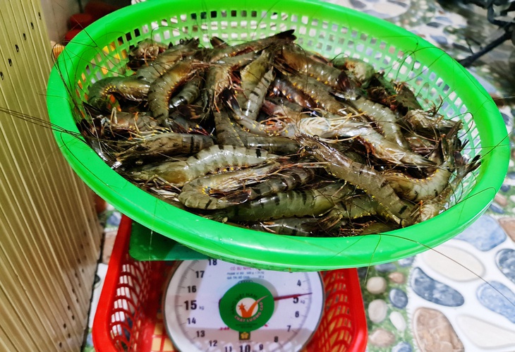 Giá cua gạch tăng mạnh ở miền Tây - Ảnh 2.