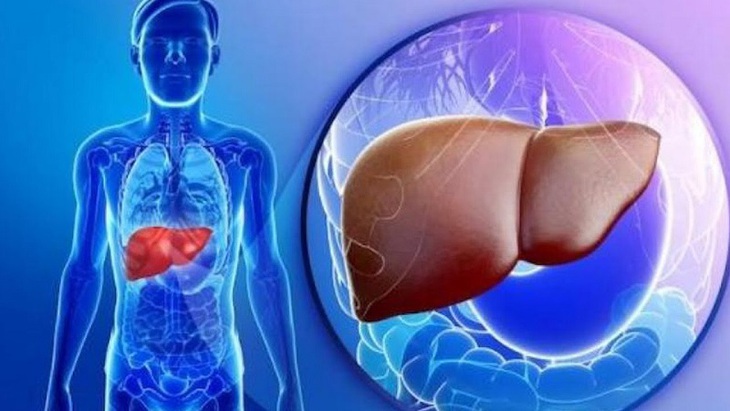 Thanh lọc cải thiện chức năng gan cần làm gì? - Ảnh 1. Thanh lọc cải thiện chức năng gan cần làm gì? - Ảnh 1.