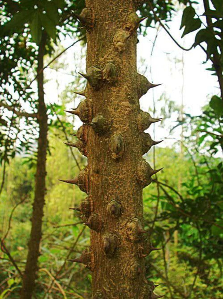 photo-1653020853362