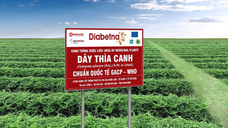 Công bố hợp tác quốc tế: Nghiên cứu và ứng dụng khoa học công nghệ trong hỗ trợ điều trị tiểu đường - Ảnh 2. Công bố hợp tác quốc tế: Nghiên cứu và ứng dụng khoa học công nghệ trong hỗ trợ điều trị tiểu đường - Ảnh 2.