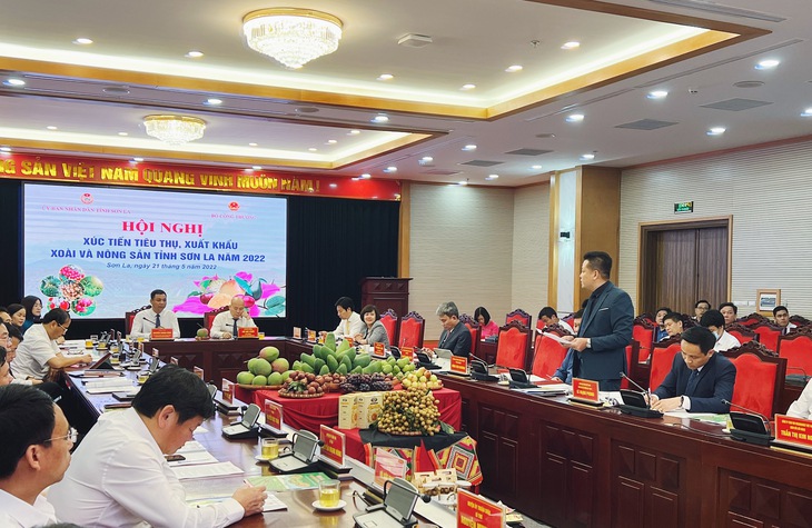 WinCommerce cam kết tiêu thụ 400 - 500 tấn xoài Sơn La - Ảnh 3.