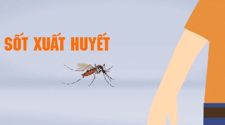 Dịch sốt xuất huyết vào mùa, dấu hiệu và cách phòng ngừa - Ảnh 1.