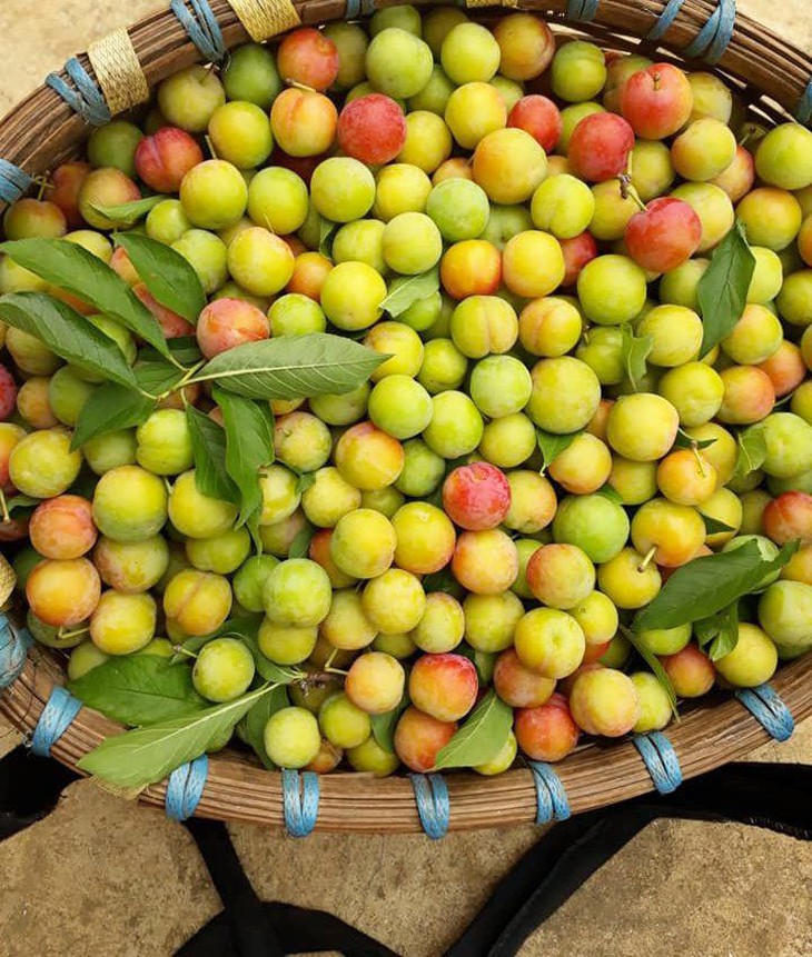 Những lưu ý không nên bỏ qua khi ăn mận - Ảnh 4.