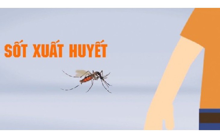 Dịch sốt xuất huyết vào mùa, dấu hiệu và cách phòng ngừa