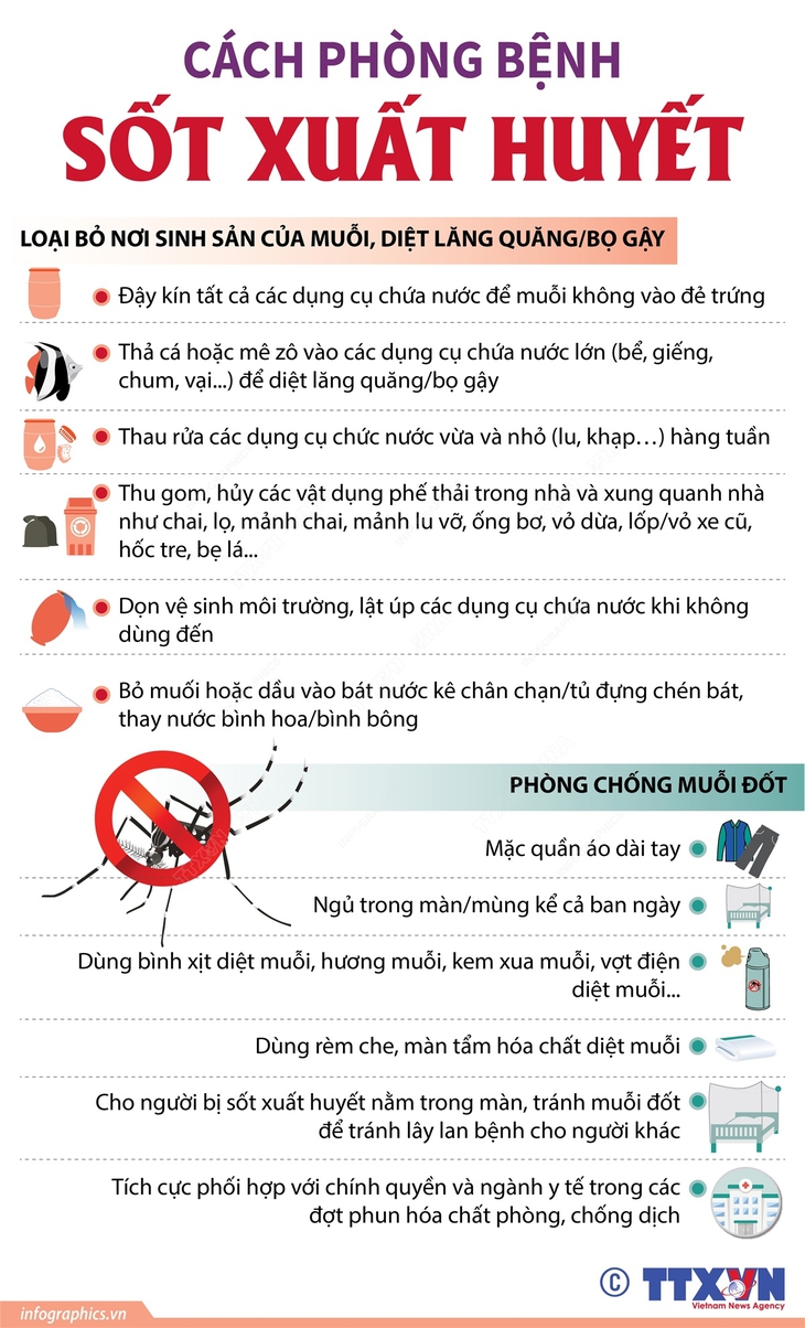 Phân biệt sốt xuất huyết và các dạng sốt khác - Ảnh 9. Phân biệt sốt xuất huyết và các dạng sốt khác - Ảnh 9.