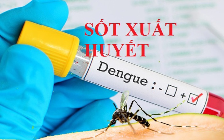 Coi chừng biến chứng nguy hiểm của sốt xuất huyết ngày mưa - Ảnh 3. Coi chừng biến chứng nguy hiểm của sốt xuất huyết ngày mưa - Ảnh 3.