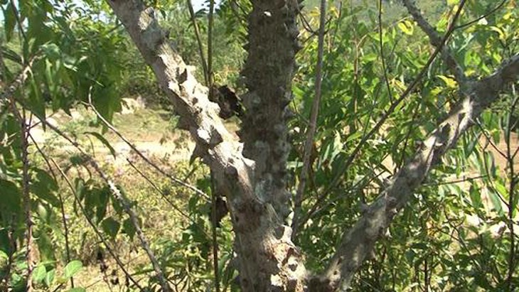 photo-1653537582533