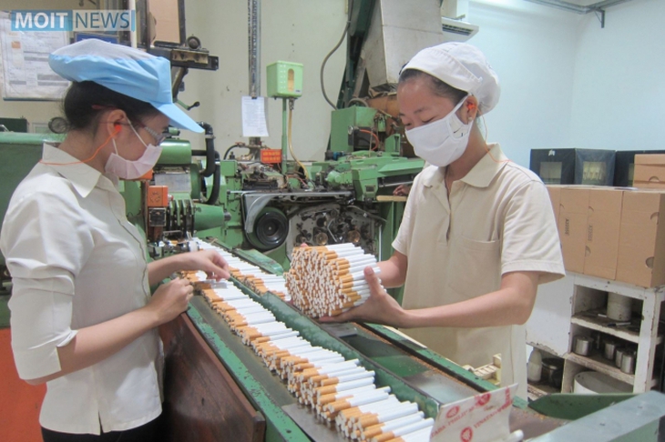 80 triệu tấn carbon dioxide thải ra môi trường mỗi năm từ quá trình sản xuất thuốc lá - Ảnh 1. 80 triệu tấn carbon dioxide thải ra môi trường mỗi năm từ quá trình sản xuất thuốc lá - Ảnh 1.