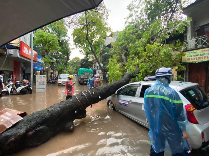 Cây xà cừ bật gốc trong mưa đè vào 1 tô tô trên phố Hàng Chiếu - Ảnh 2. Cây xà cừ bật gốc trong mưa đè vào 1 tô tô trên phố Hàng Chiếu - Ảnh 2.